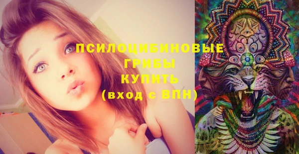 эйфоретик Бородино