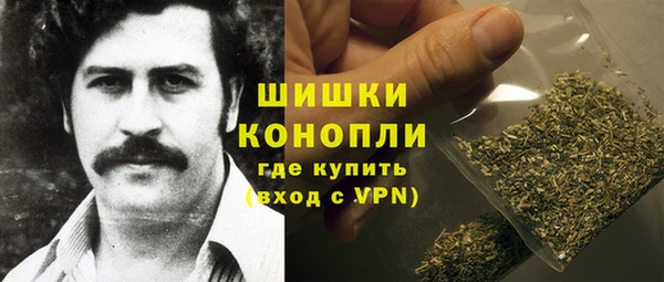 эйфоретик Бородино